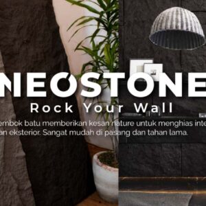 ᴰᴺˢNEO STONE